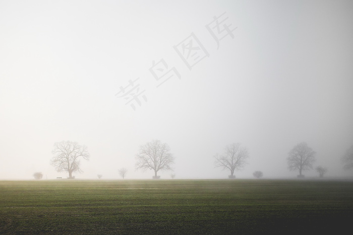 大雾田野图片