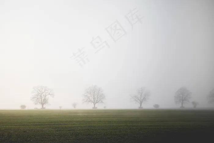 大雾田野图片