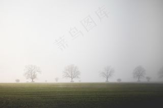 大雾田野图片