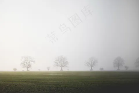 大雾田野图片 大雾田野图片