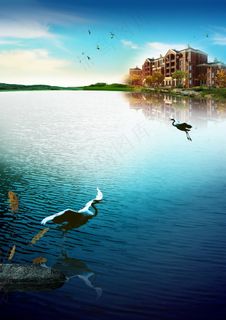地产水景画图片