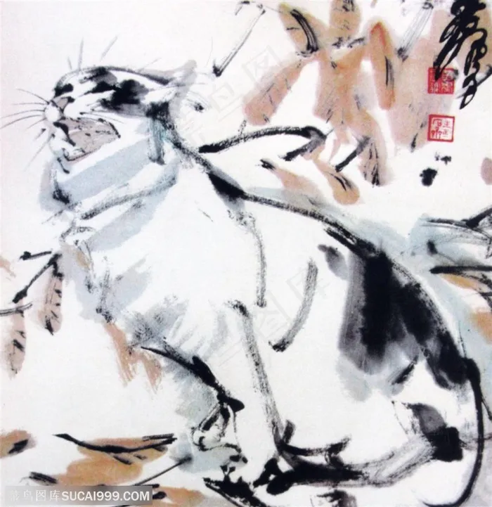 国画名家作品-黄胄的秋叶花猫