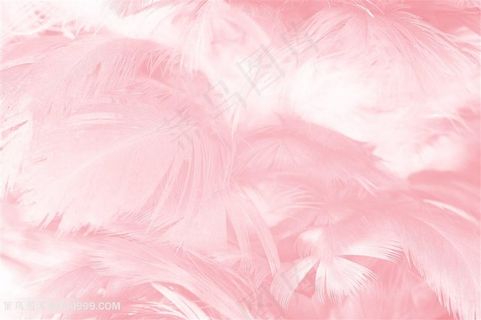 粉色高清羽毛高清底纹背景素材