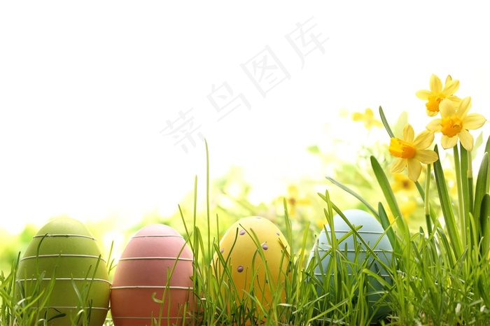 散落的地上的彩蛋和可爱兔子高清素材