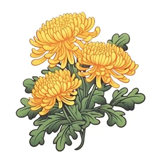 黄色手绘菊花免抠