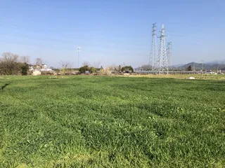 田野风光、麦田风景