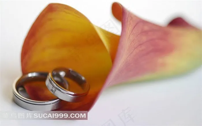 简约结婚戒指素材