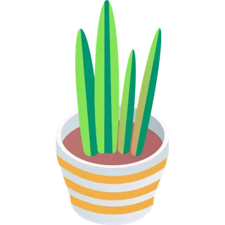 虎皮兰盆栽简笔画