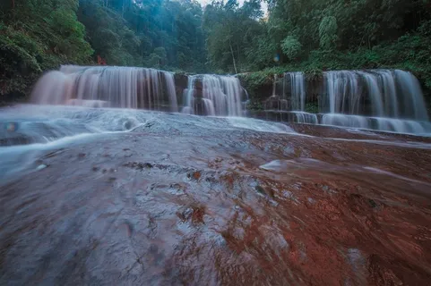 四川黄荆老林风景摄影图