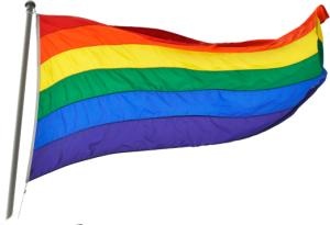 LGBT旗帜 PNG免抠(300x205)
