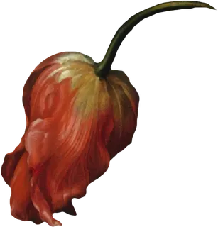 复古油画质感宫廷花卉植物花朵鲜花拼贴图案PNG免抠图片设计素材