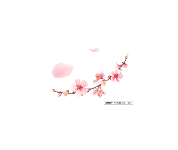 高清PNG免扣桃花樱花2 拷贝