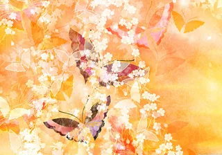 图片设计素材背景鸟语花香