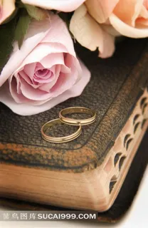 婚庆素材圣经上的玫瑰戒指 婚庆素材圣经上的玫瑰戒指