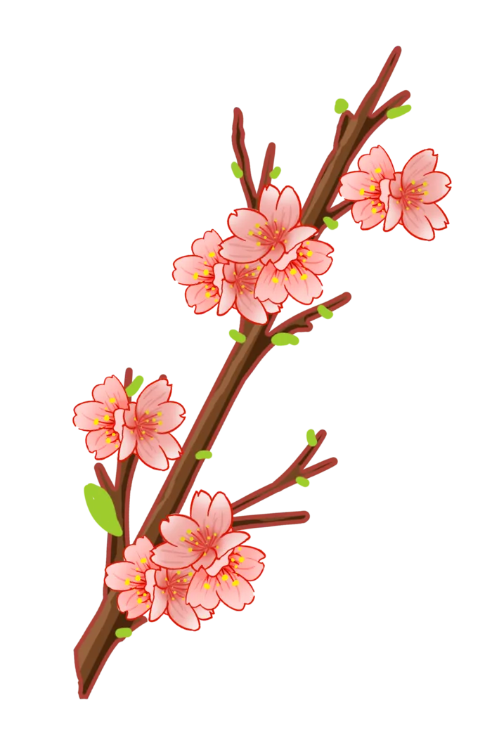 春天浪漫粉红色樱花手绘樱花梅花桃花花朵图片PNG免扣素材