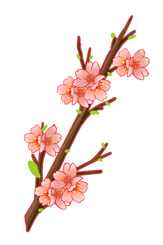 春天浪漫粉红色樱花手绘樱花梅花桃花花朵图片PNG免扣素材