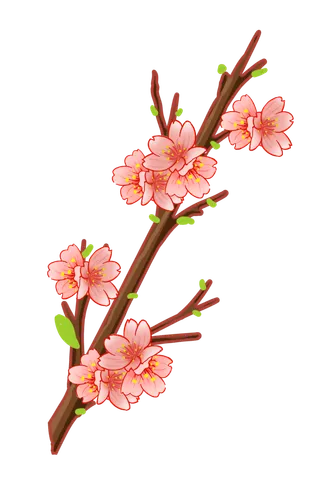 春天浪漫粉红色樱花手绘樱花梅花桃花花朵图片PNG免扣素材