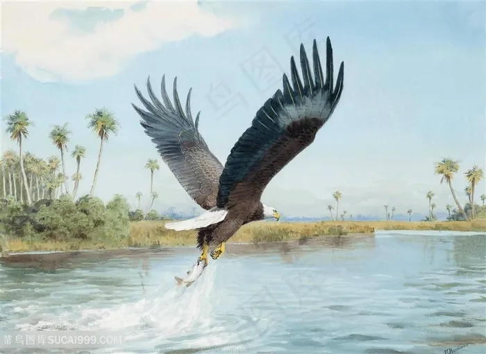 约翰.哈里森湖畔雄鹰美景装饰画