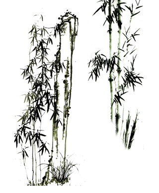 竹子水墨画中国风国画墨水书法竹子画