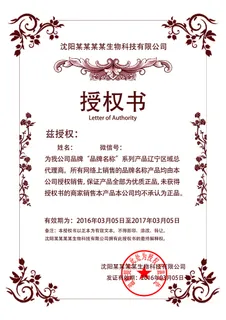 公司企业网络电子模板代理授权资质证书PSD制作设计源文件