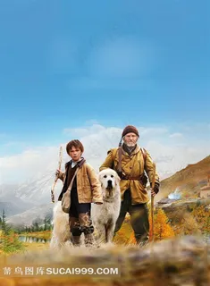 白色的狗与小男孩和老人电影海报 白色的狗与小男孩和老人电影海报