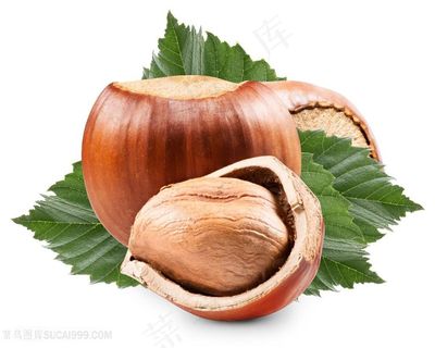 美味的坚果干货食物高清图片素材