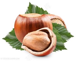 美味的坚果干货食物高清图片素材