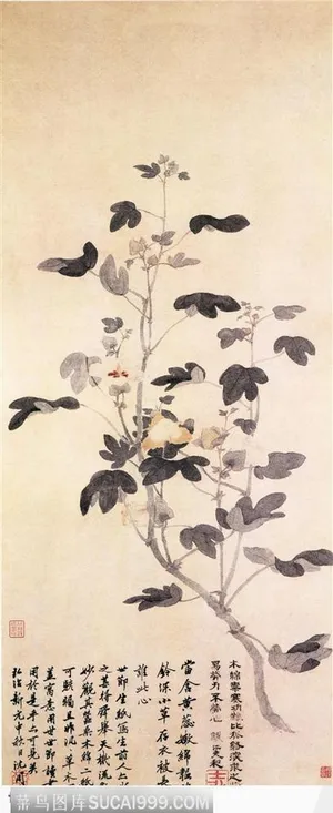 花鸟篇-木棉花 花鸟篇-木棉花