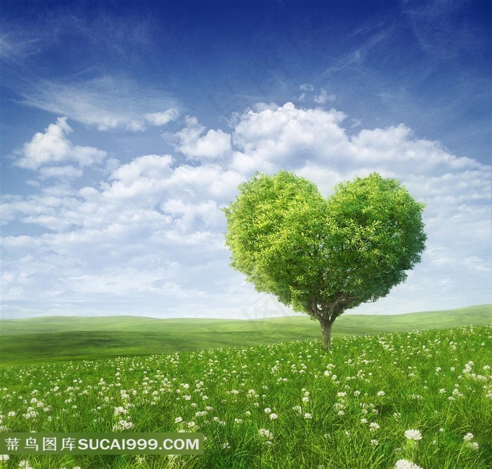 爱心系列 - 清新美丽的心形树木