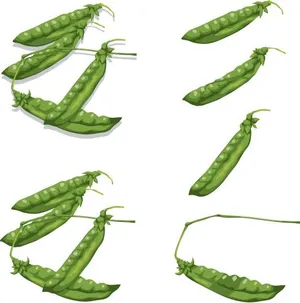 豌豆免抠