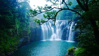 绿色风景瀑布图片