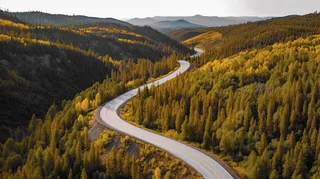 森林里一条蜿蜒的公路航拍摄影图