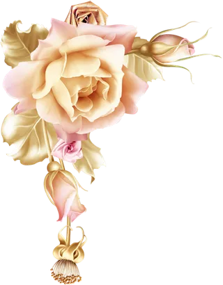 花朵边框素材春季谷雨