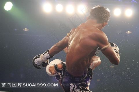 拳击系列 - 勇猛的拳手