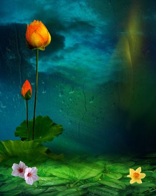 油画草地荷花绿色背景