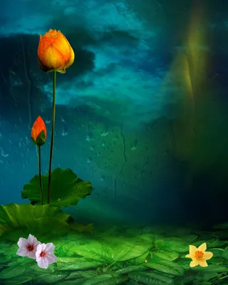 油画草地荷花绿色背景