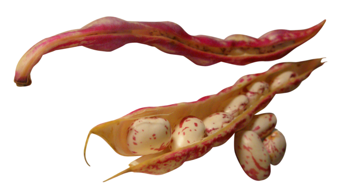 红豆豆子蔬菜