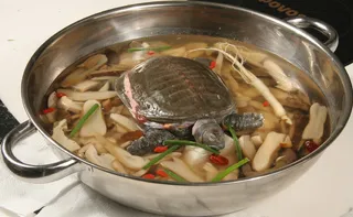 元鱼山珍菌锅 (1)