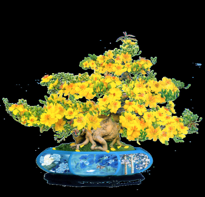 梅花花盆装饰新年背景