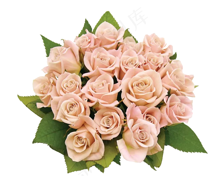 花饰和花束 