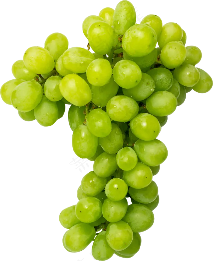 08_Grapes
