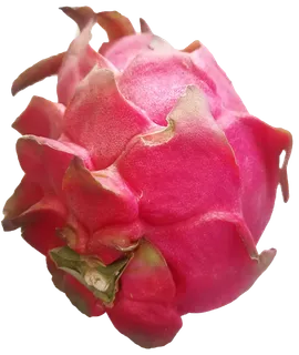 紫红色新鲜火龙果免抠摄影元素素材