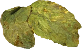 复古油画质感宫廷花卉植物花朵鲜花拼贴图案PNG免抠图片设计素材