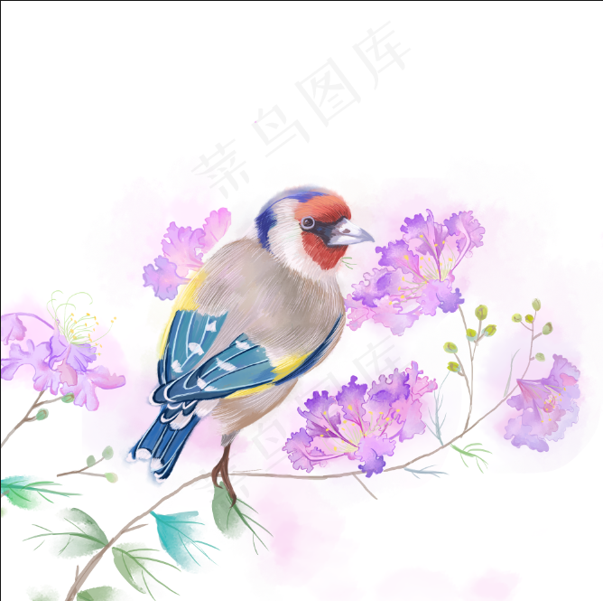 水彩免扣花鸟装饰画免扣元素 psd模版下载