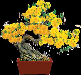 梅花花盆装饰新年背景