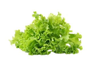 生菜 (43)超市商品白底图免抠实物摄影png格式图片透明底