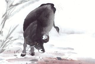 生肖动物设计美图素材