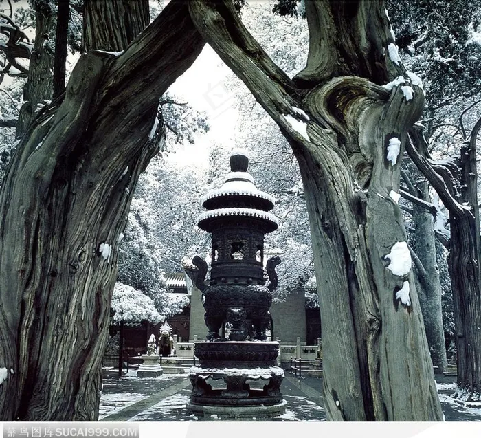 紫禁城印象-御花园雪景