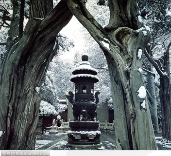 紫禁城印象-御花园雪景