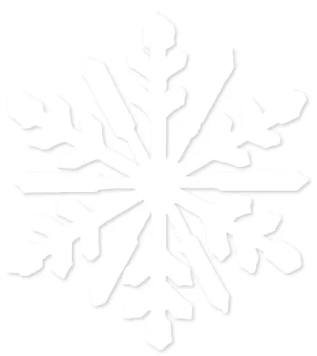 雪花 PNG免抠(572x640)